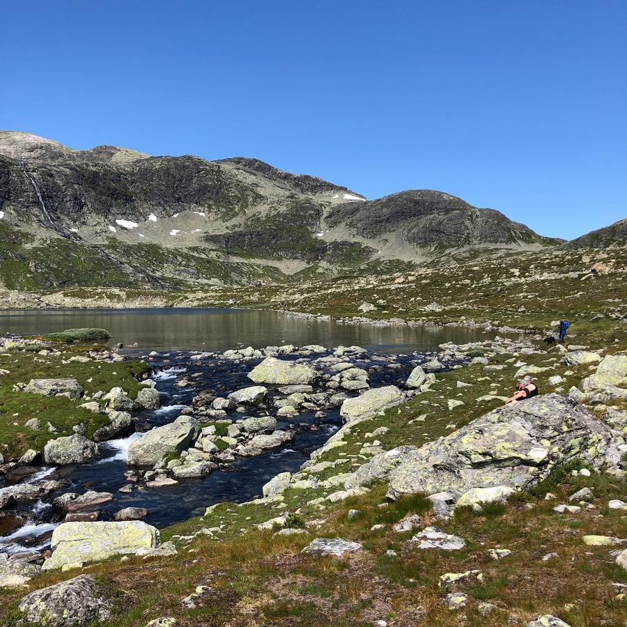 Leilighet på Beitostølen. Terrasse og parkering Eksteriør bilde