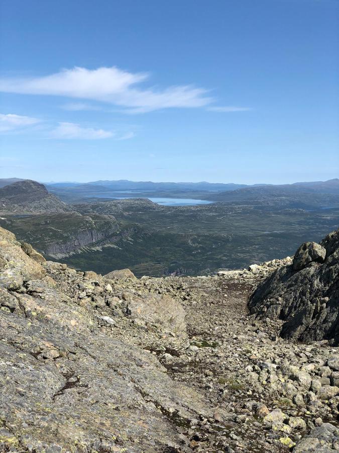 Leilighet på Beitostølen. Terrasse og parkering Eksteriør bilde